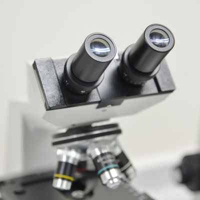 Kính hiển vi điện tử Phòng thí nghiệm kiểm tra điện tử Kinh doanh SAA RCM Dịch vụ kiểm tra và xác thực của bên thứ ba