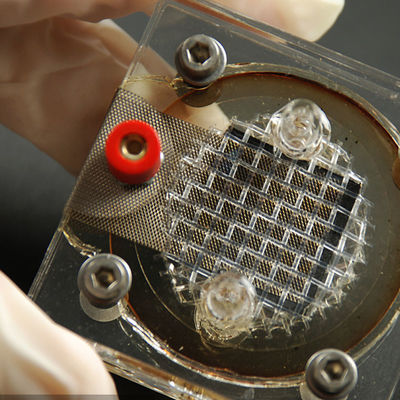 Thiết bị tạo âm vang Phòng thí nghiệm kiểm tra điện tử Các công ty EMC LPS SELV Dịch vụ kiểm tra và xác thực của bên thứ ba