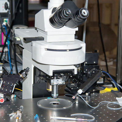 Phòng thí nghiệm kiểm tra Ce Mark Intertek Bàn chải đánh răng điện Dịch vụ xác thực của bên thứ ba