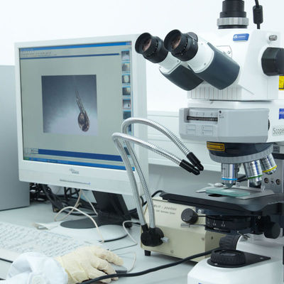 Dịch vụ chứng nhận Iso CE Lab GTS Electric Razor Dịch vụ xác thực của bên thứ ba