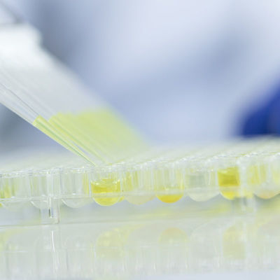 Dịch vụ phòng thí nghiệm kiểm tra thủy tinh thực phẩm Phòng thí nghiệm được Fda công nhận Dịch vụ xác thực của bên thứ ba