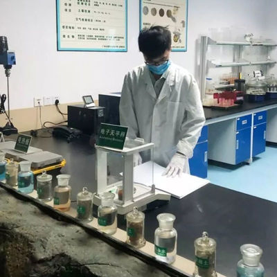 Phòng thí nghiệm kiểm tra DOE CEC Fda Kiểm tra thực phẩm Đồ ăn nhẹ Dịch vụ xác thực của bên thứ ba