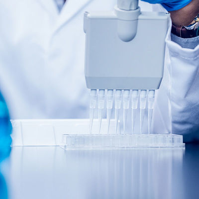 Chứng nhận phòng thí nghiệm chất lượng của FDA Phòng thí nghiệm thử nghiệm NEMKO Sgs Dịch vụ xác thực của bên thứ ba